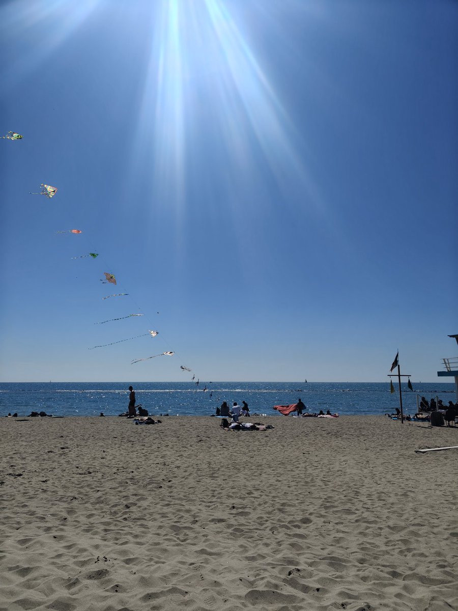 PuffettaMora tweet media