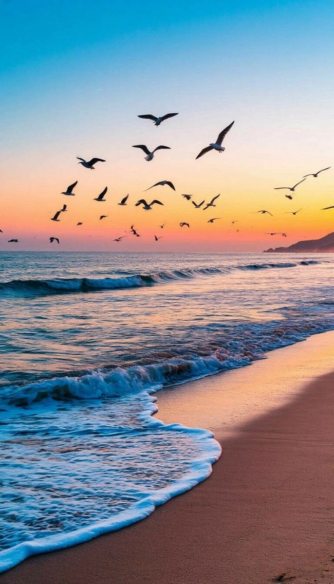 Afsaar_ghani tweet media