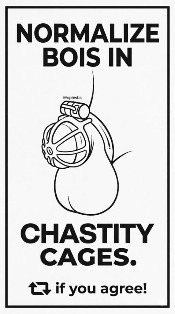 MISTRESS VIOLA SISSY SCHOOL/SISSY-GAY TEST tweet media