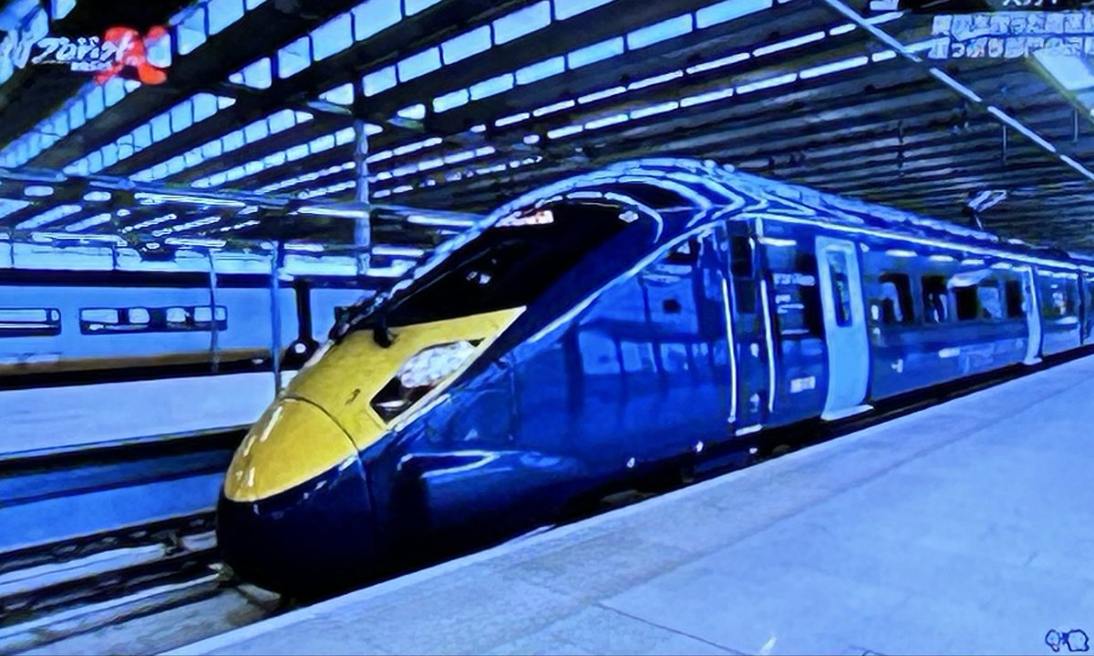 リトルベアーズ tweet media