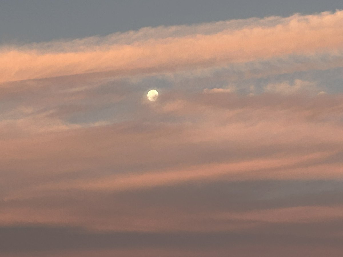 Nonentity. tweet media