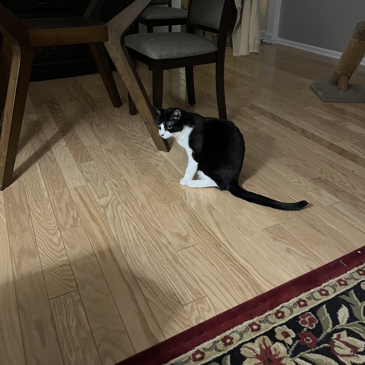 Jim Drumheller tweet media