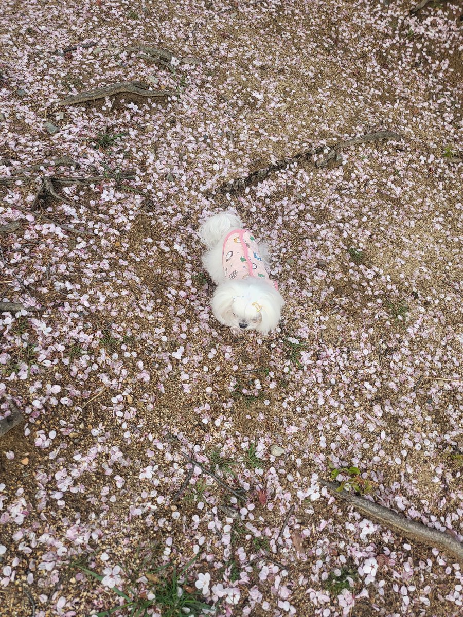 🌱이그린🌱 tweet media