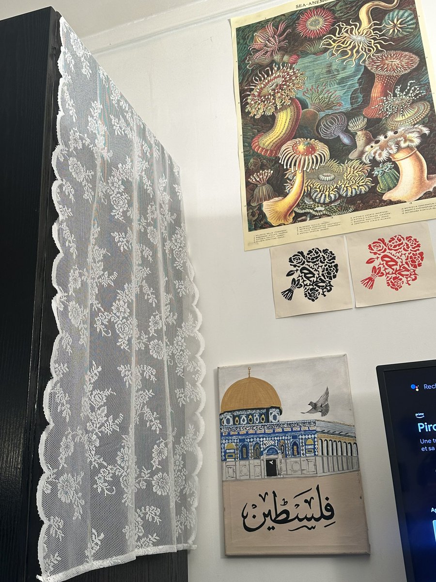 dora ☪︎∴🦇 tweet media