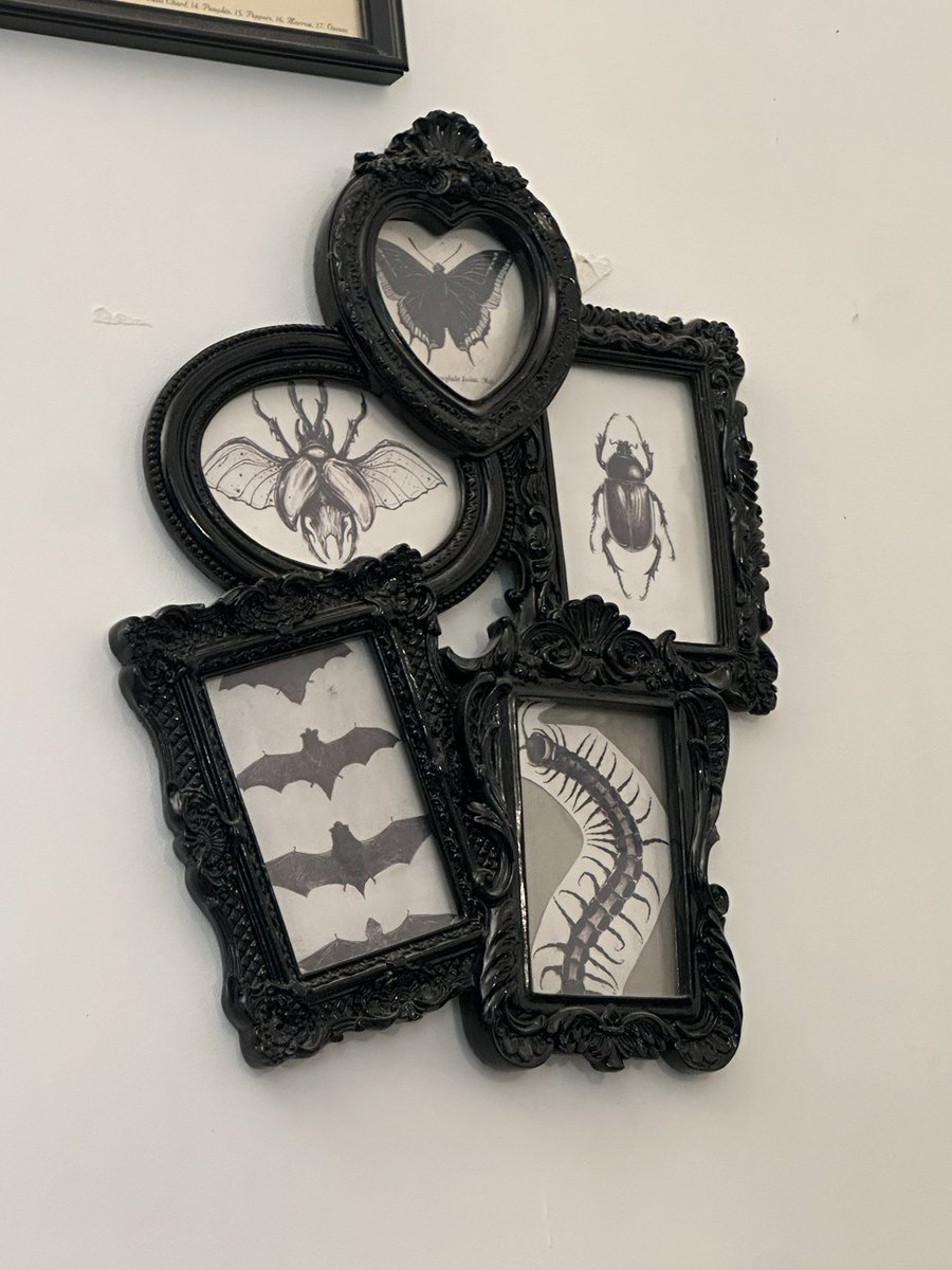 dora ☪︎∴🦇 tweet media