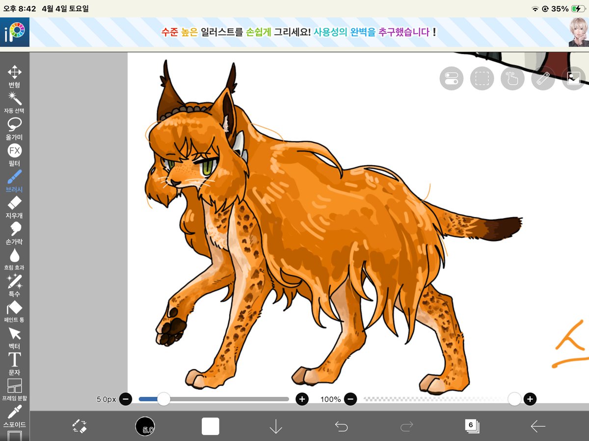 집나간 병뚜껑 tweet media