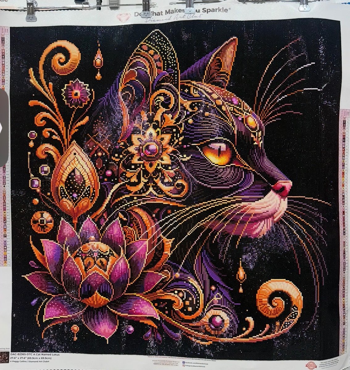 ひれよん*.｡趣味垢 tweet media