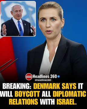 Sara Rey tweet media