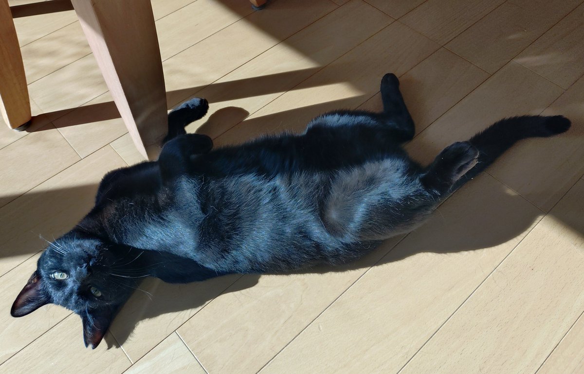 鬼形タケシ・レジットデザインC.O.O. tweet media