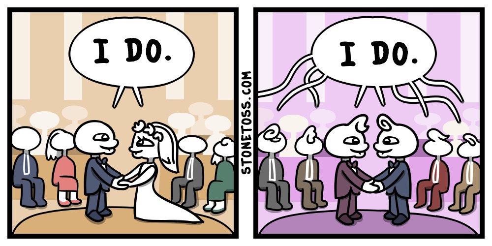 Pattern Enjoyer tweet media