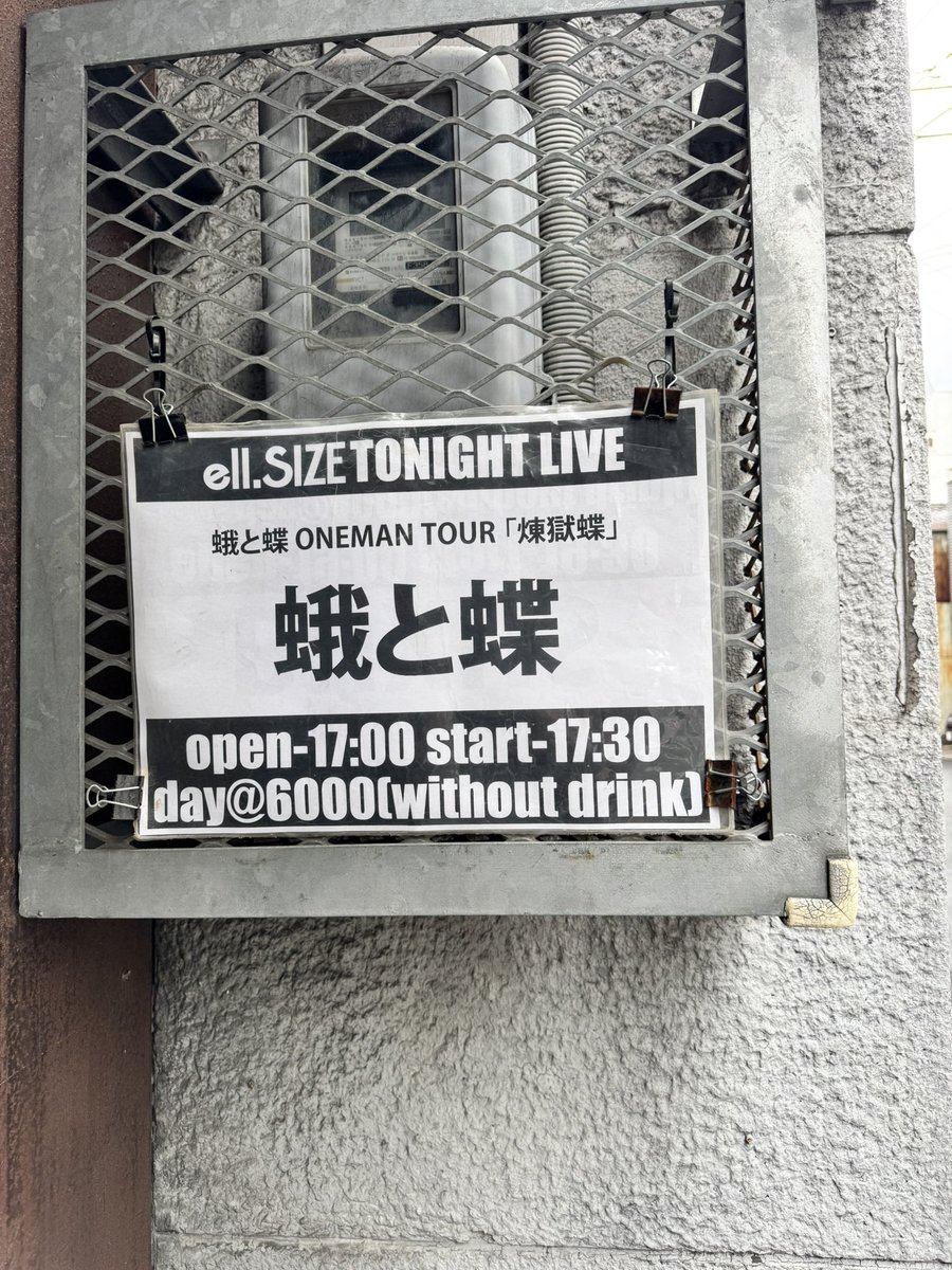 かっしーわぎ tweet media