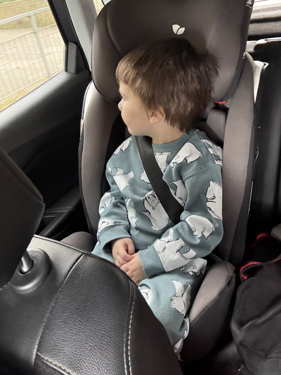 SharonMack82795's tweet image. Road trip with my loves. 🌋🦖🦕🎠♥️ #makingmemories #family @paul___donohoe