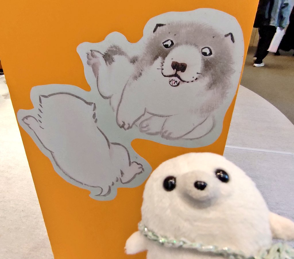 ごまのすけ🦭 tweet media