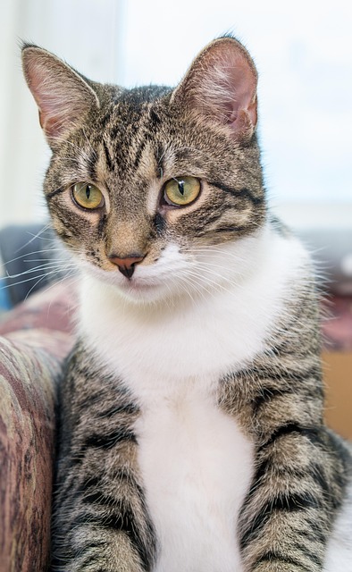 Timothy Gentry tweet media