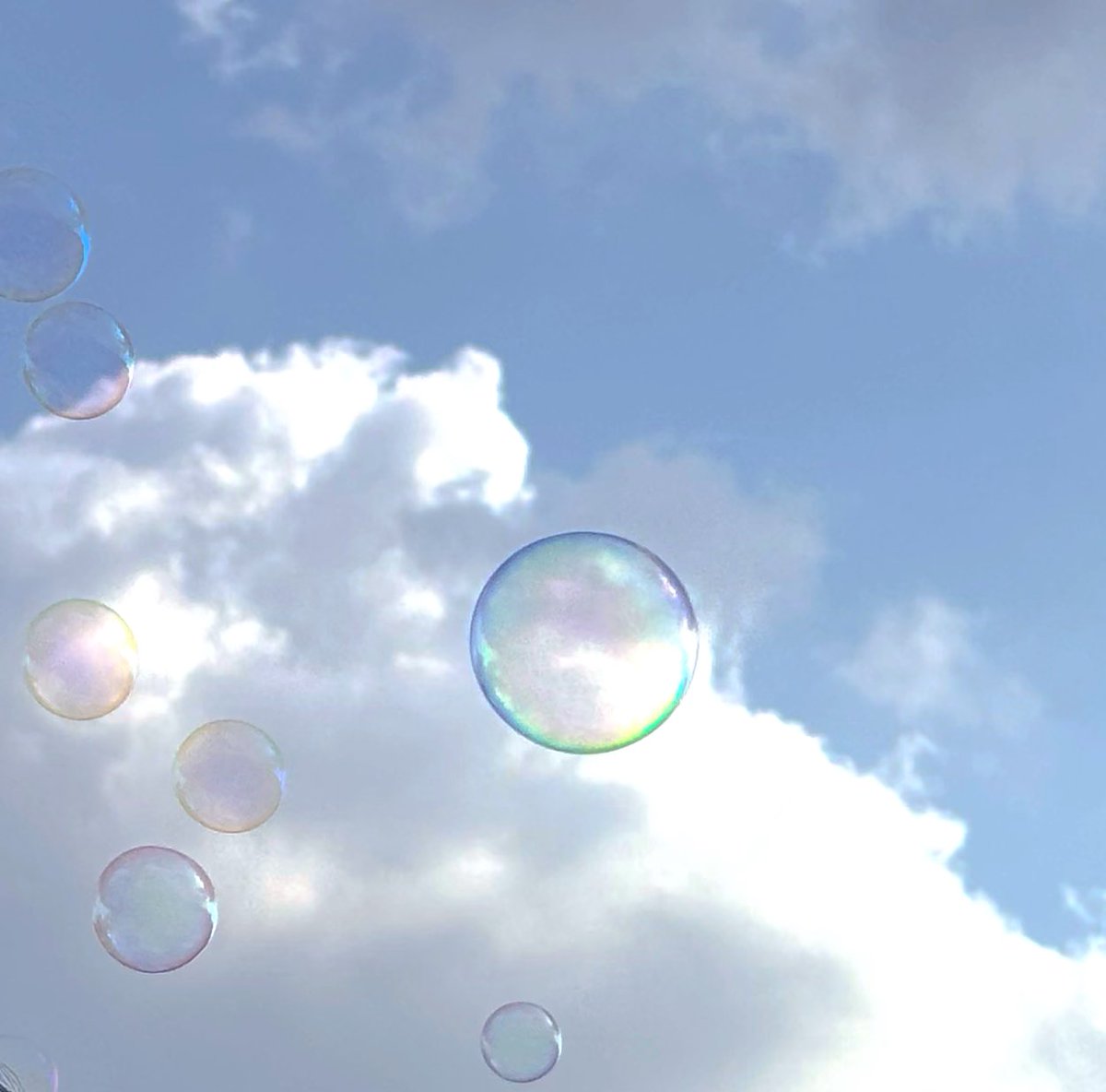 宮内 萌々花 tweet media