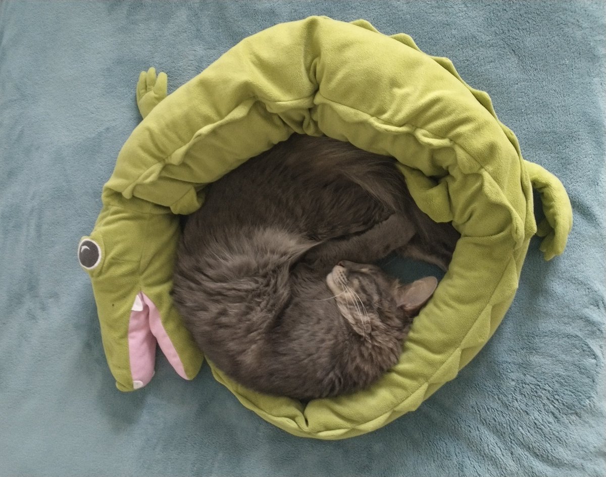 Demetris Samuel tweet media