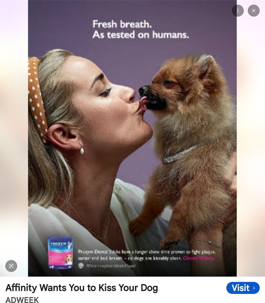 Centennial Black American tweet media