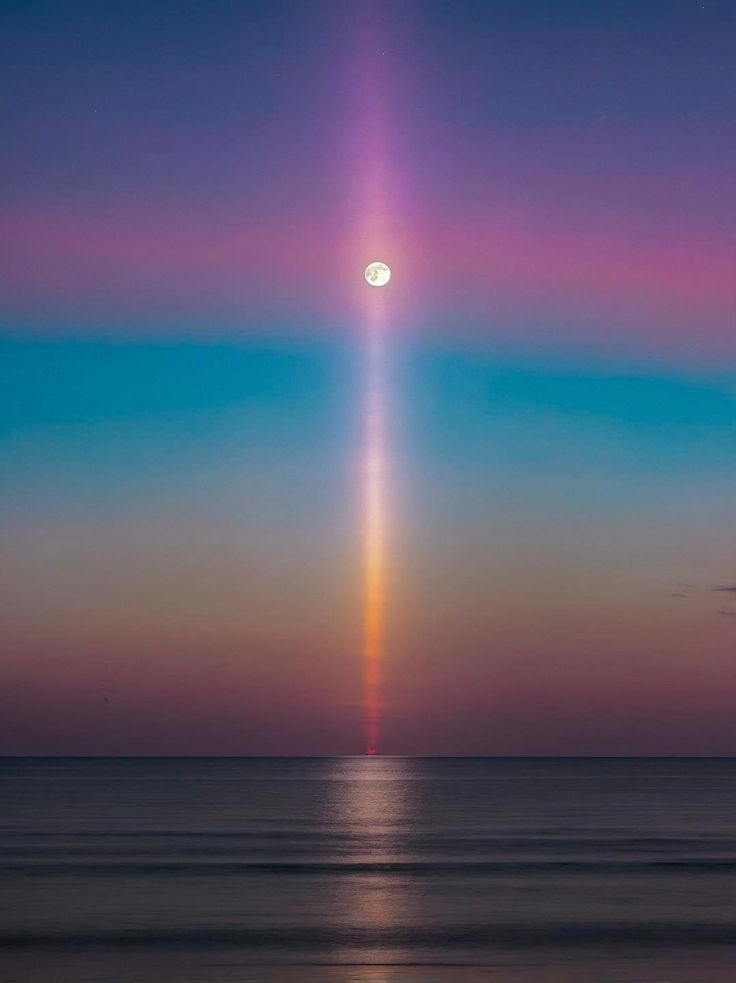 Lizzy15xo tweet media