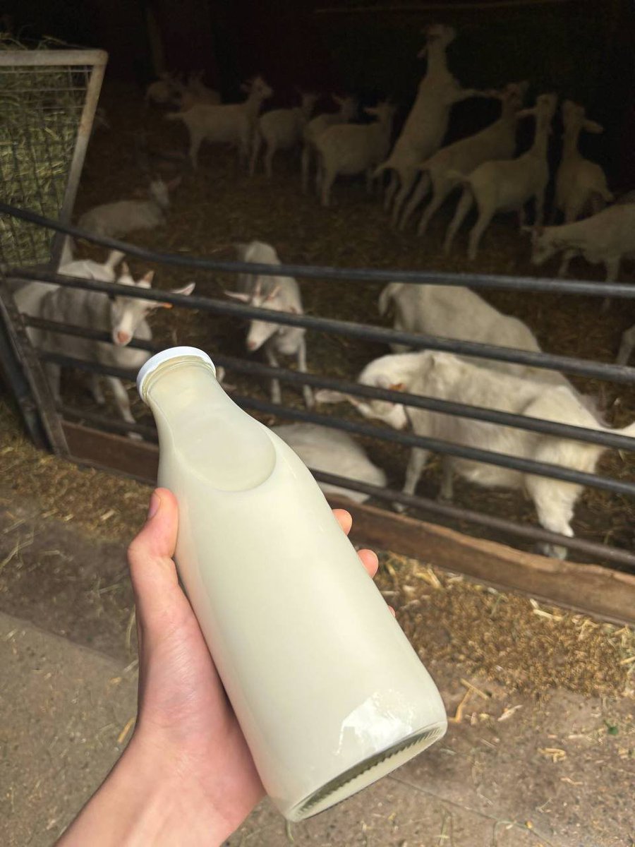 Nairn David tweet media