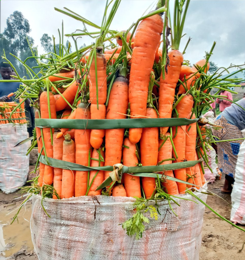 AGRICULTURE NOTES tweet media