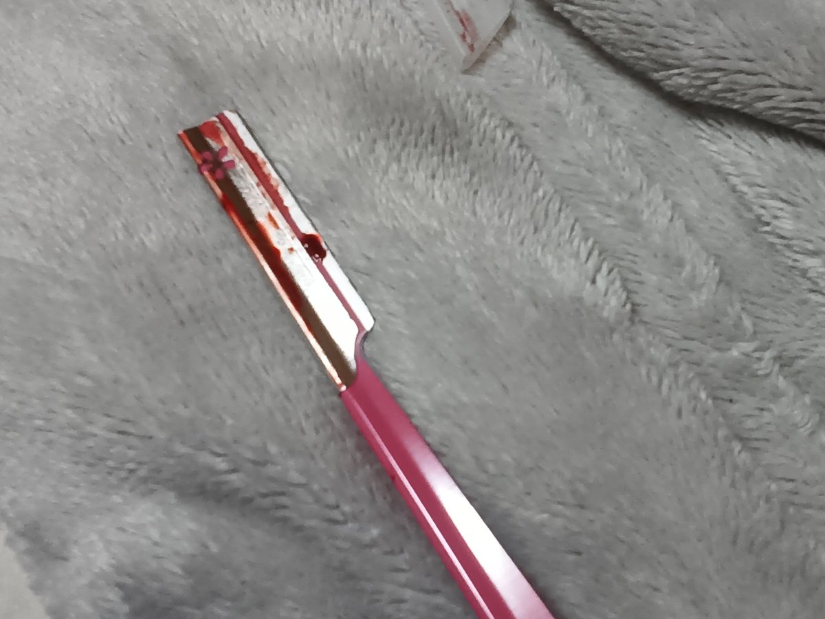 ももちゃん tweet media