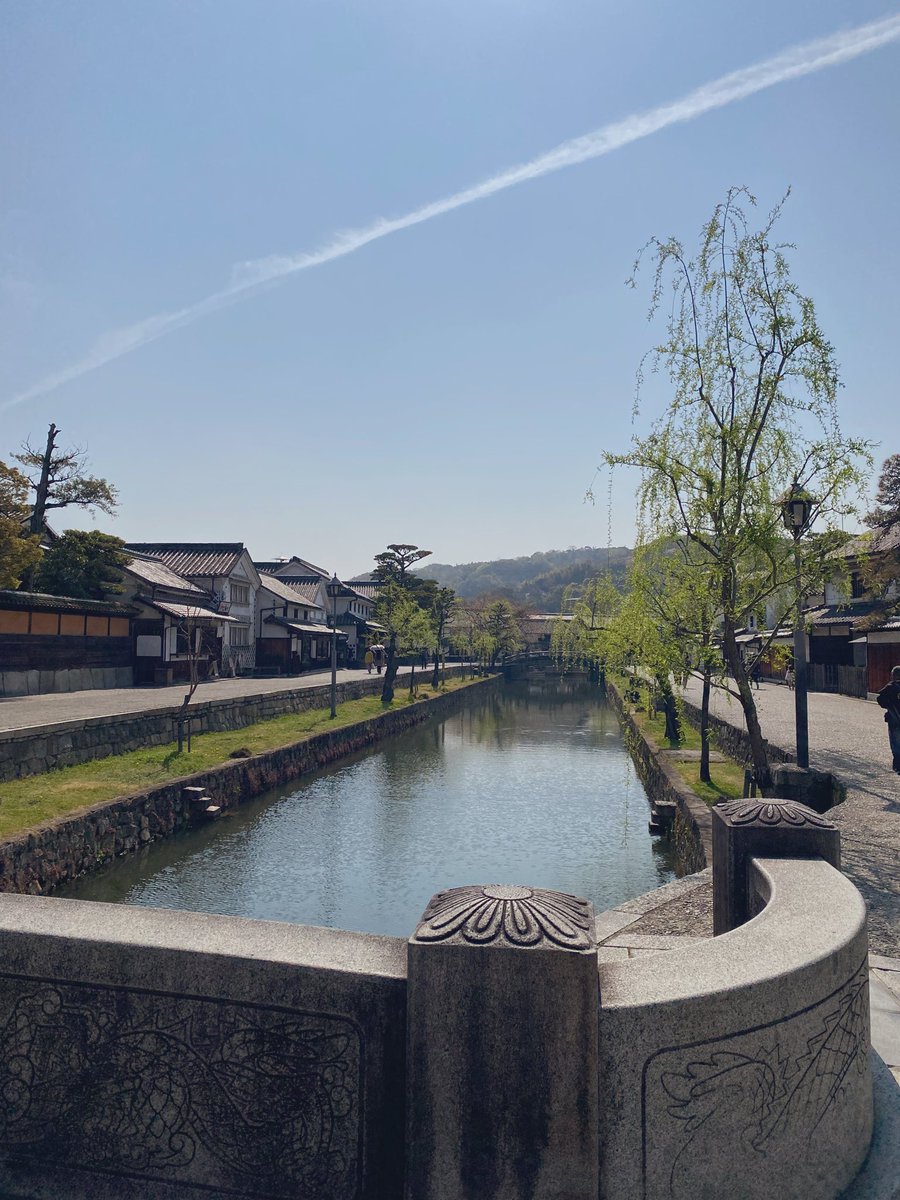 くんちゃんママ🫧 tweet media