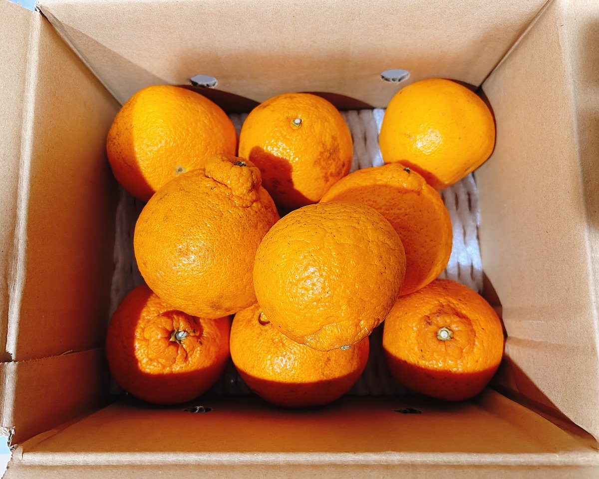 あきちゃん♡お得情報🔥 tweet media