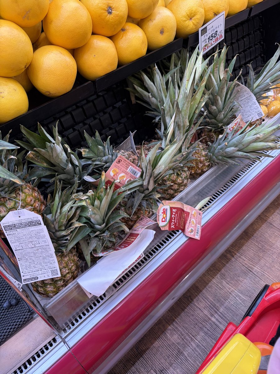 changsoon-plants（ちゃんすん） tweet media