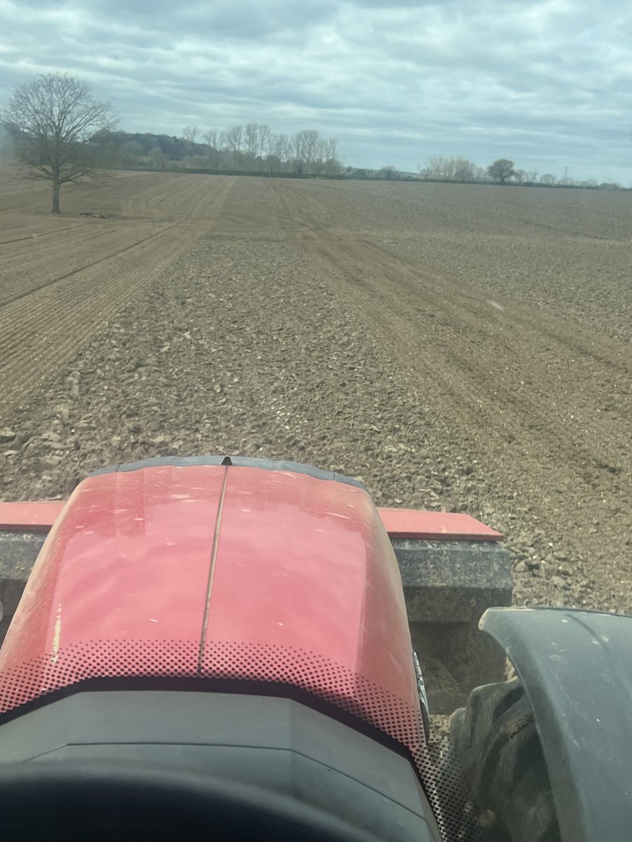 Michael Balls tweet media