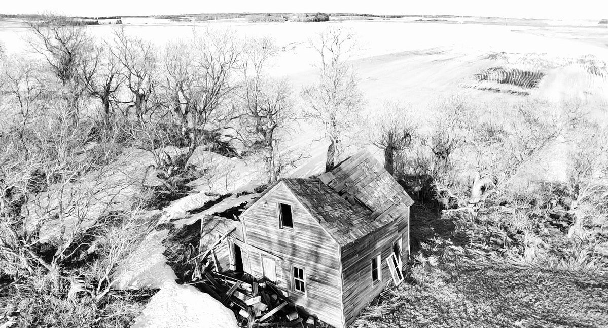 Dylan Bertholet tweet media