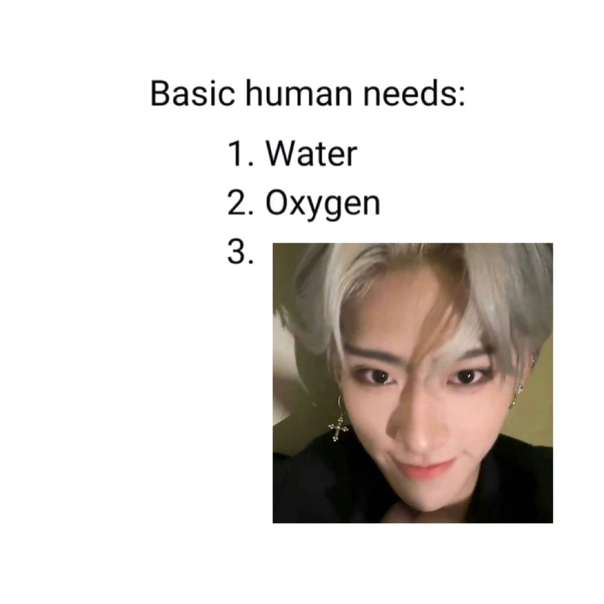 •᎔• tweet media