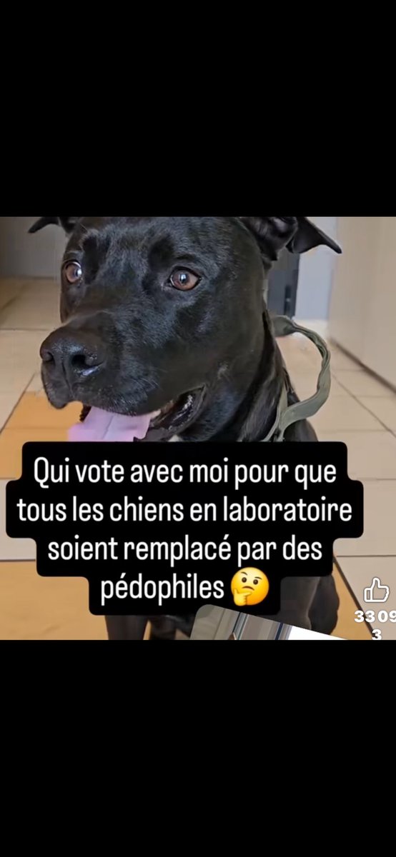 catalpa 🍷🍾🏇🇷🇺🇨🇦🇫🇷 tweet media