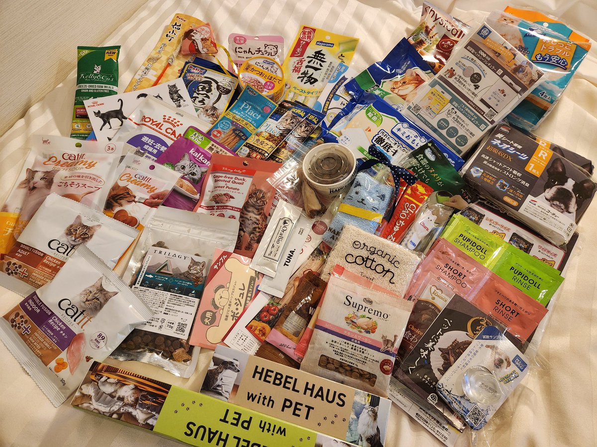 インターペットでお土産いっぱい
買えた!もらえた!頑張ったな～
友達の猫にもお裾分けできそう🤭
