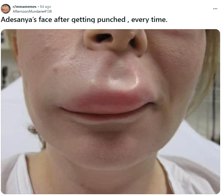 dame margera tweet media