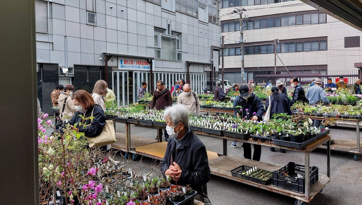 株式会社中越植物園 Chuetsu Garden Studio tweet media