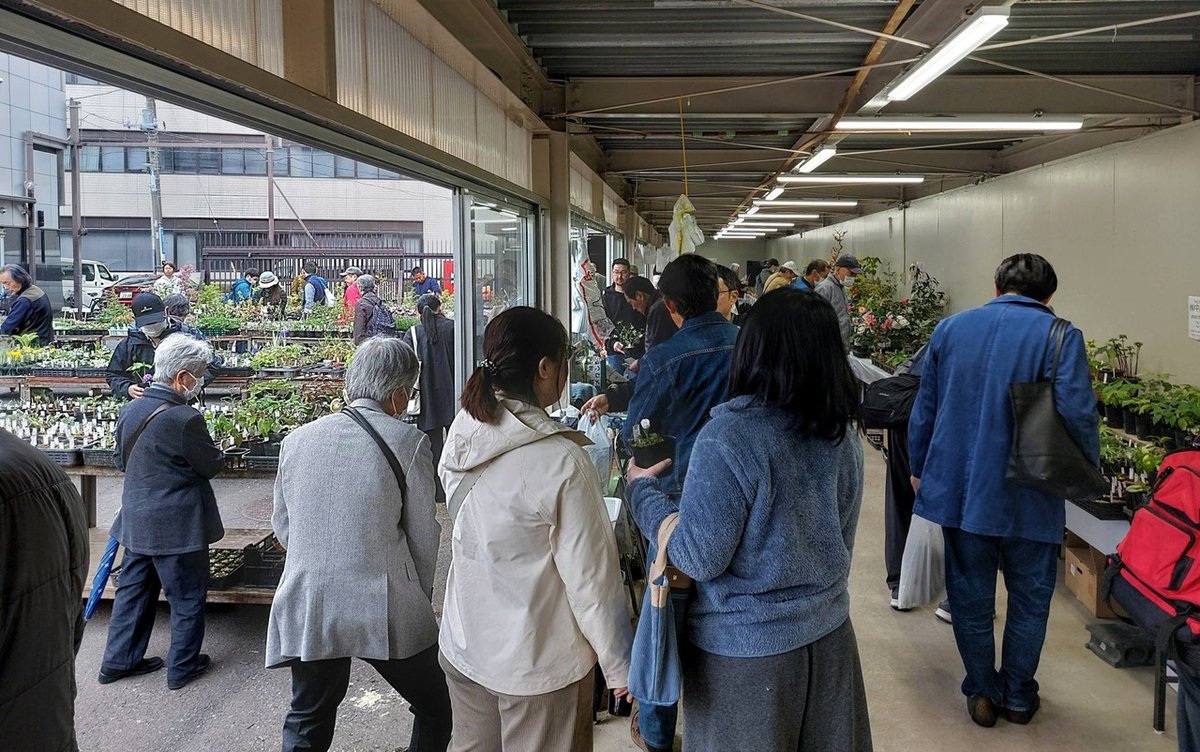 株式会社中越植物園 Chuetsu Garden Studio tweet media