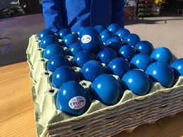 Heimo_aus_Steyr tweet media