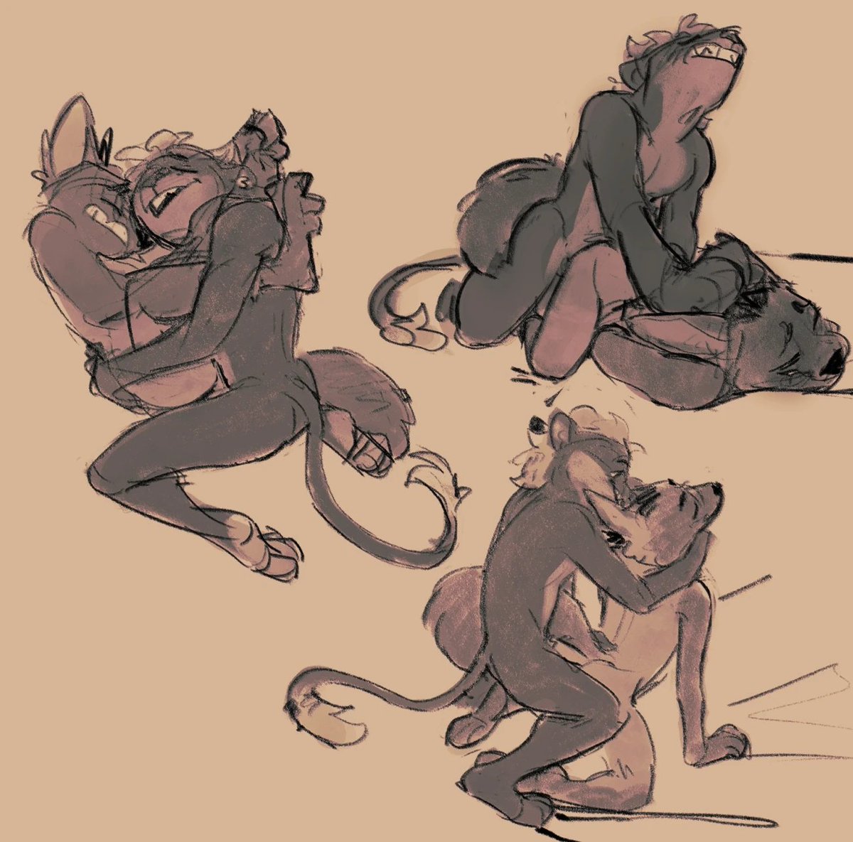 Redacted tweet media