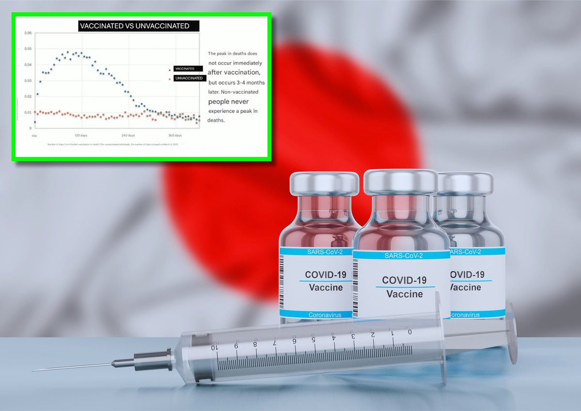 Toothless Portal tweet media