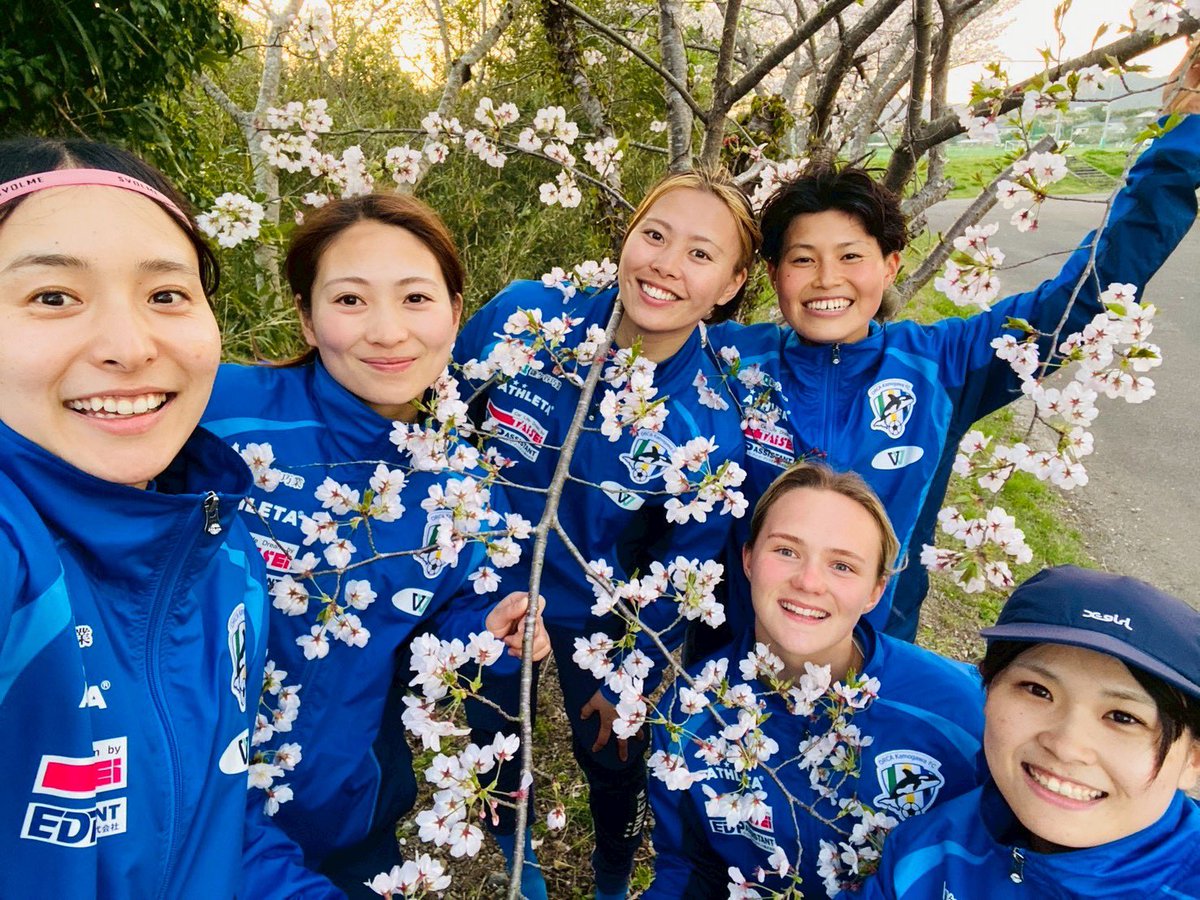 米澤萌香 tweet media