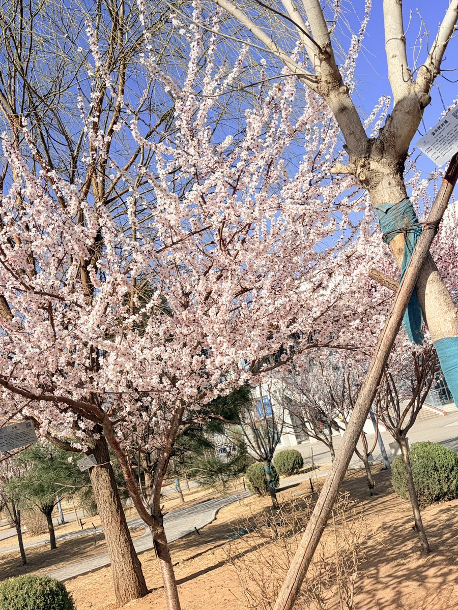 xiaooooi tweet media