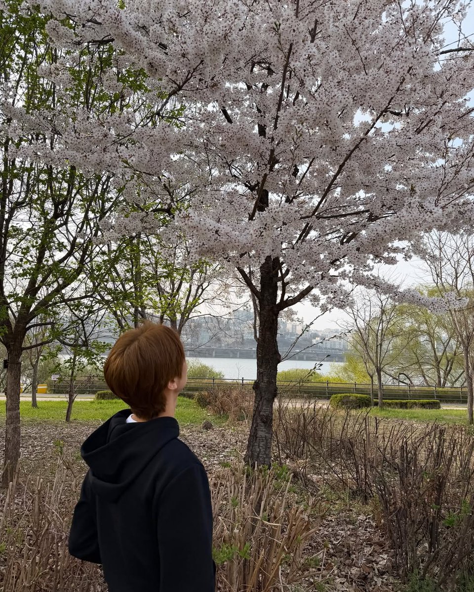 TWS INTERNATIONAL tweet media