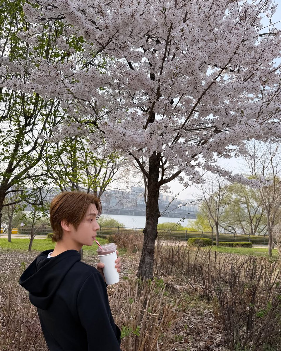 TWS INTERNATIONAL tweet media