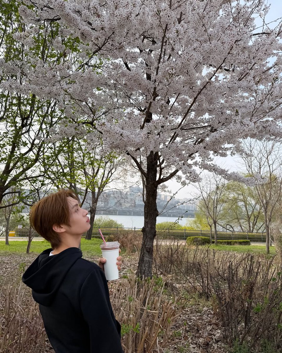 TWS INTERNATIONAL tweet media