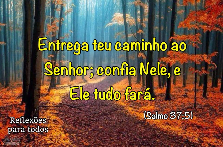 Amor Perfeito Blog tweet media