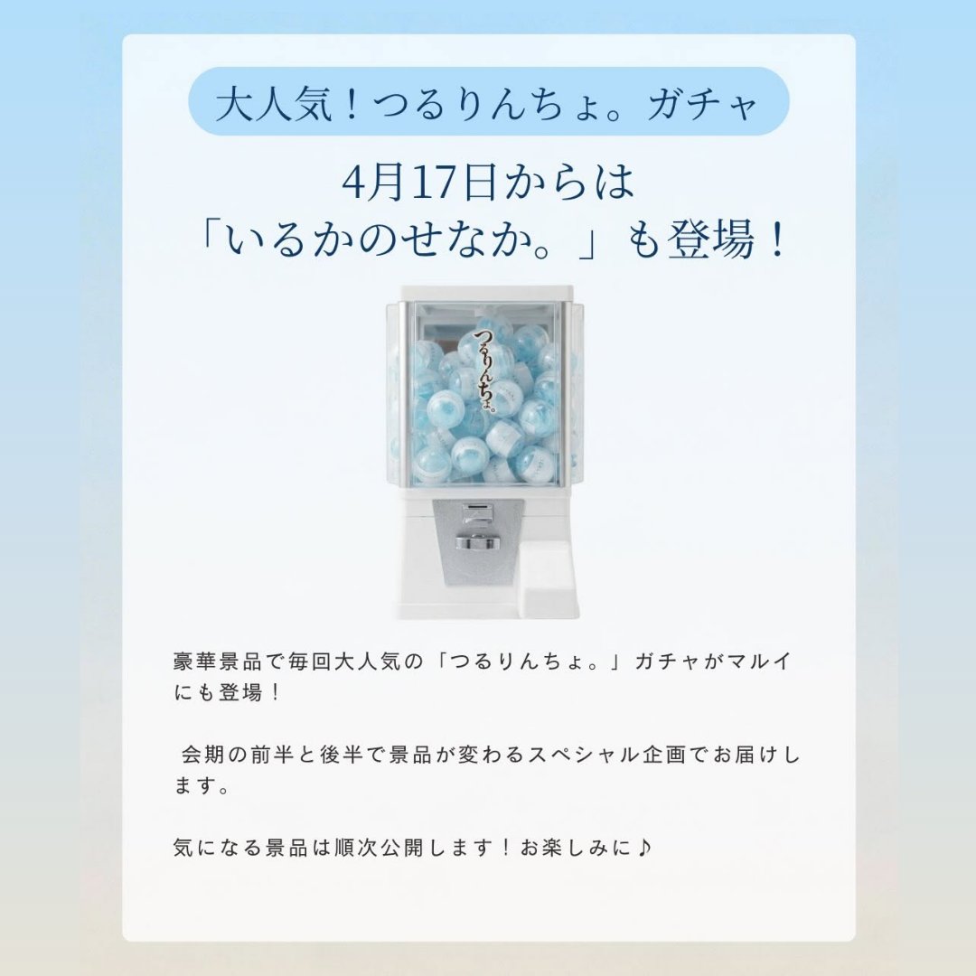 pops in ポップスイン｜POP-UP情報 tweet media