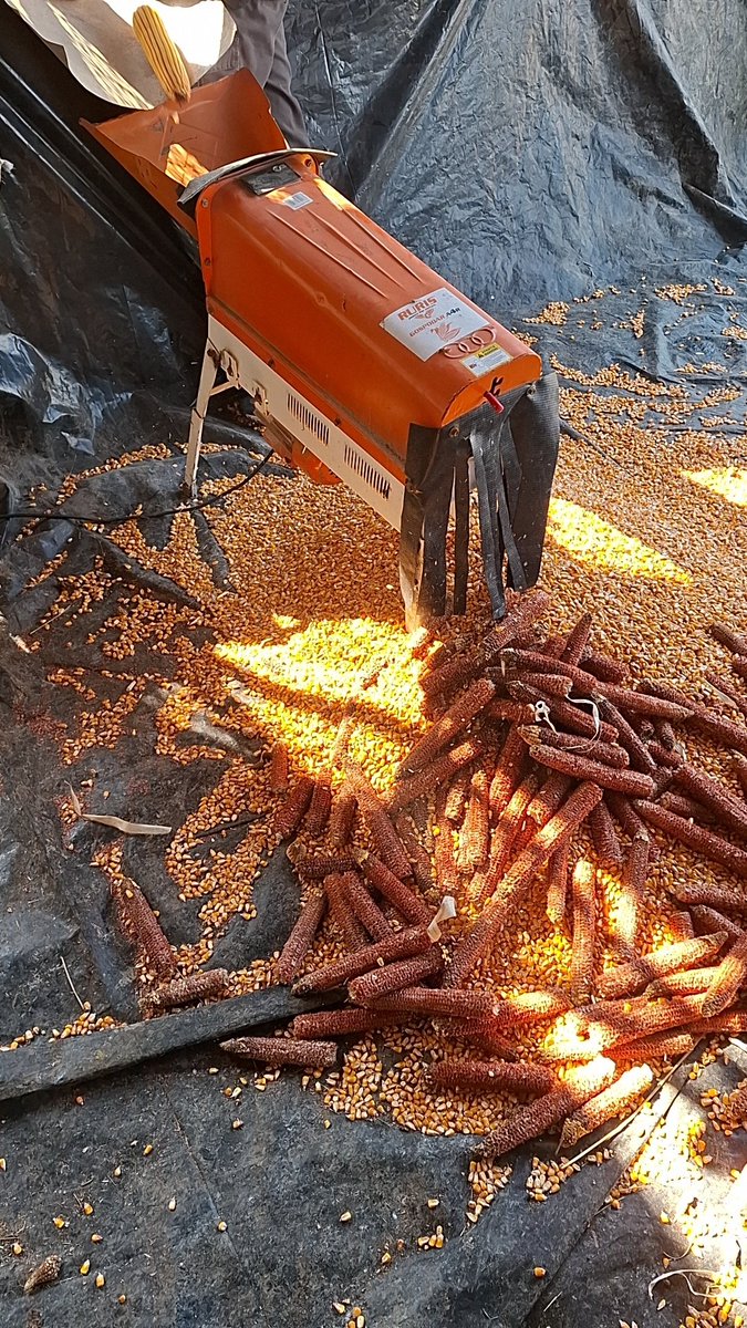 𓋹hanoza𓋹 tweet media