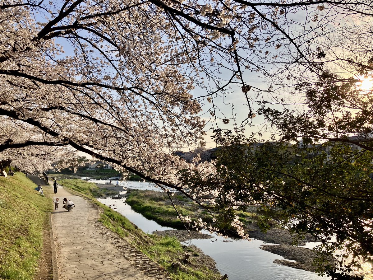 ゴムンボ tweet media