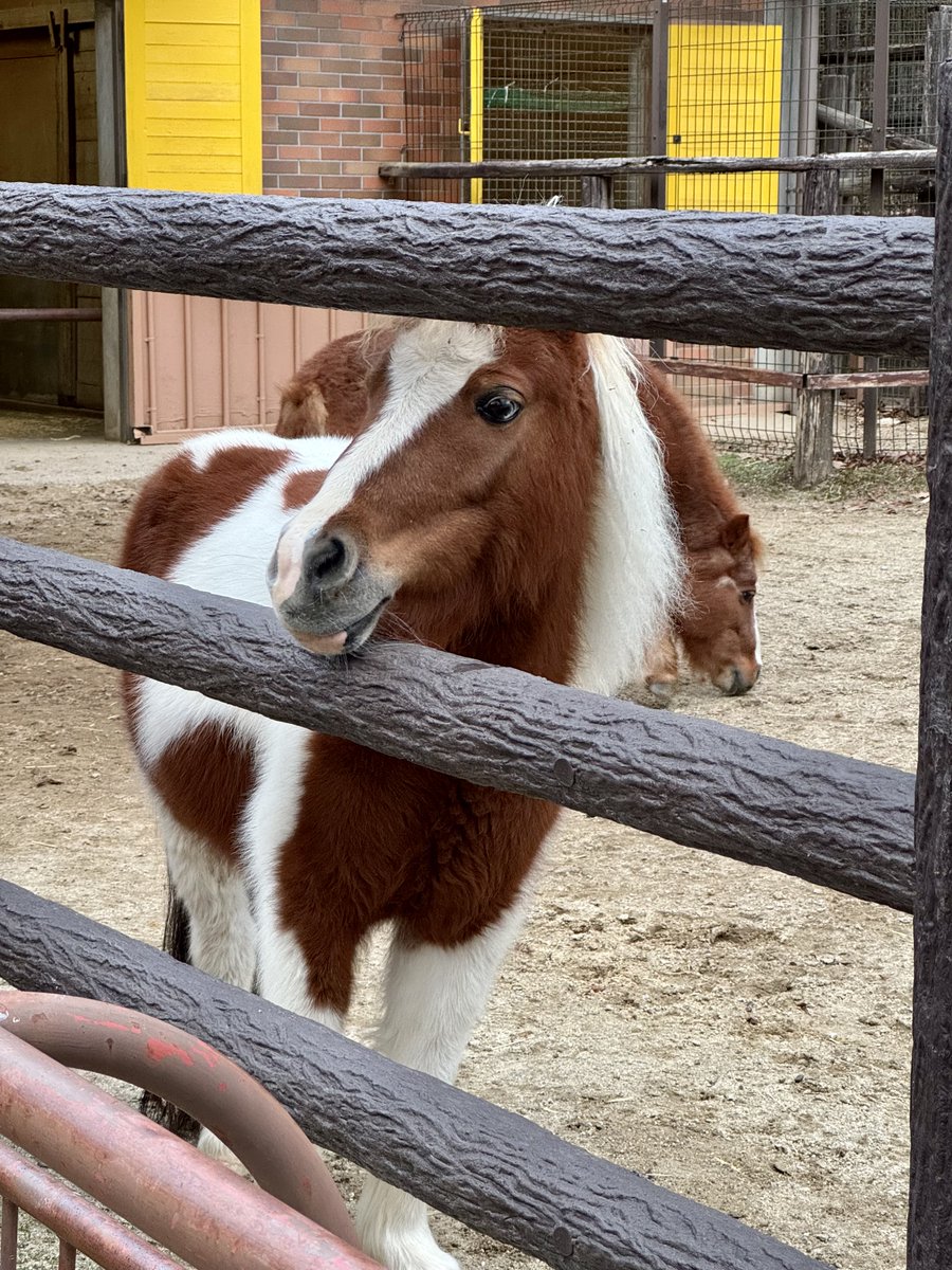 ながまる@観光スポット探してます！ tweet media