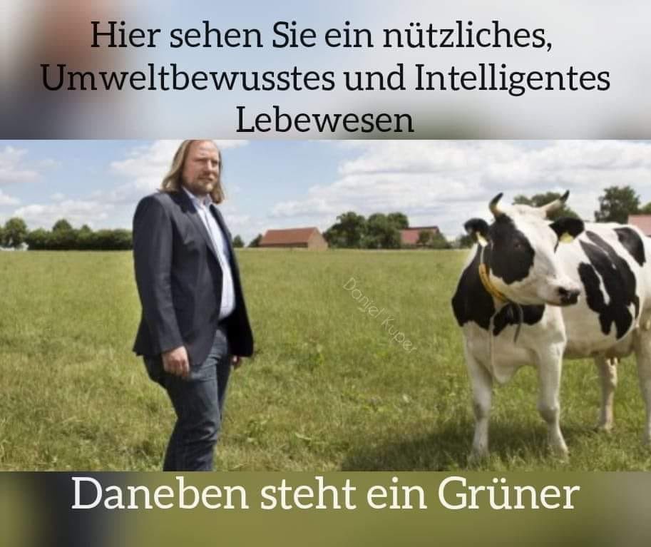 Mario Beetz tweet media